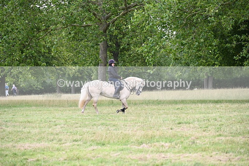 WJ6_4950 - Time at Jump 13:04 to 13:34