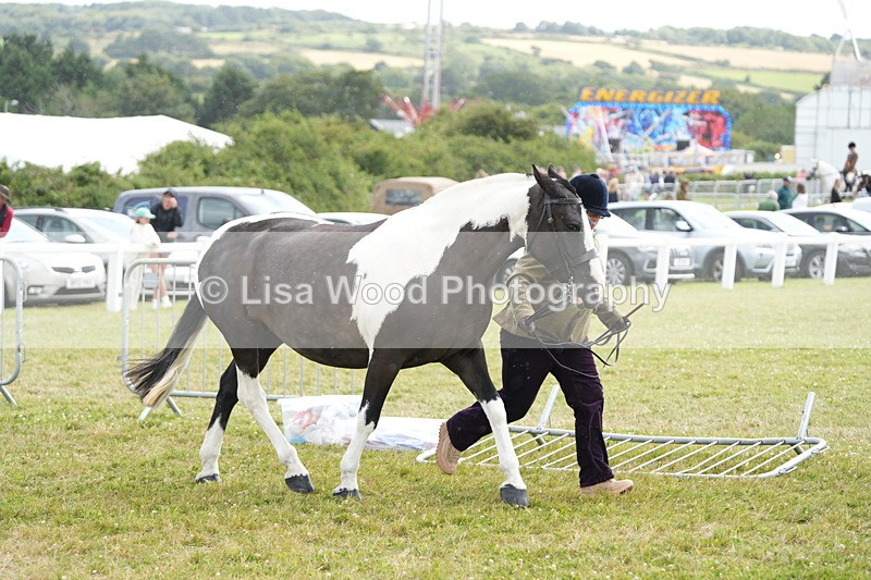 DSC06895 - Class 60: Coloured Pony 4yrs & over