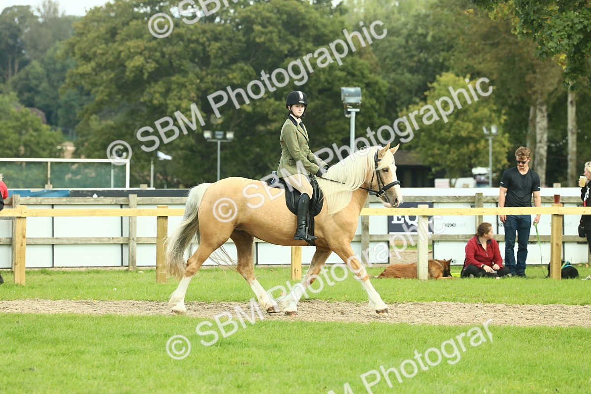 SBM_62643 - S63 - Other Coloured Horse Ridden