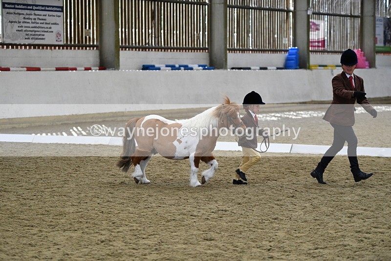 WJ5_4910 - Class 7 In hand coloured / odd coloured