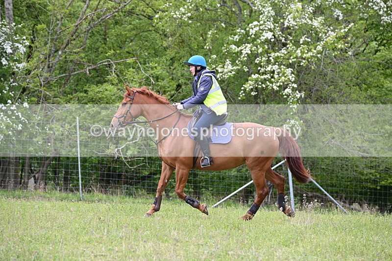 WJ6_1790 - Group 7 A&B Cameras