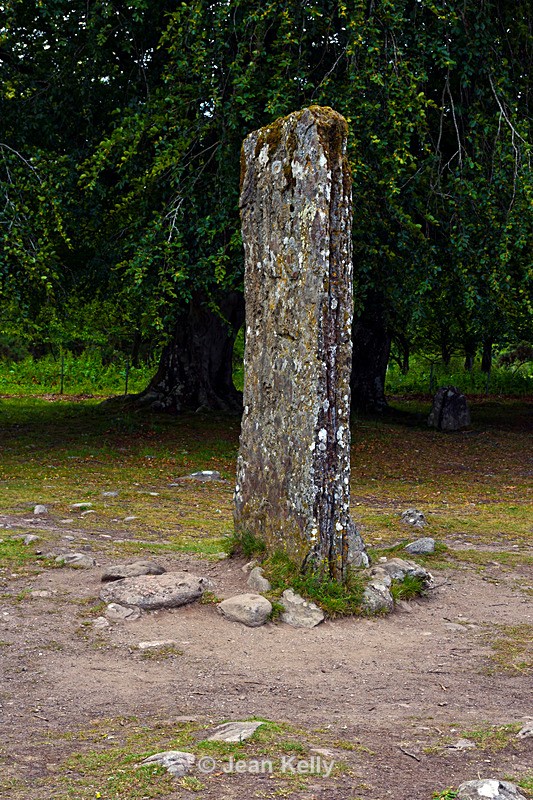 Standing Stones at Clava Cairns - DSC_8248_00036 - Scotland