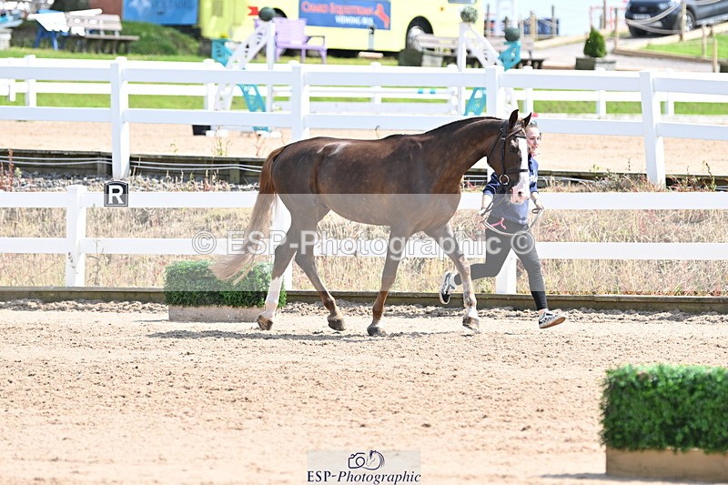 240717A-151412-02662 - Trot Up 3pm to 4pm