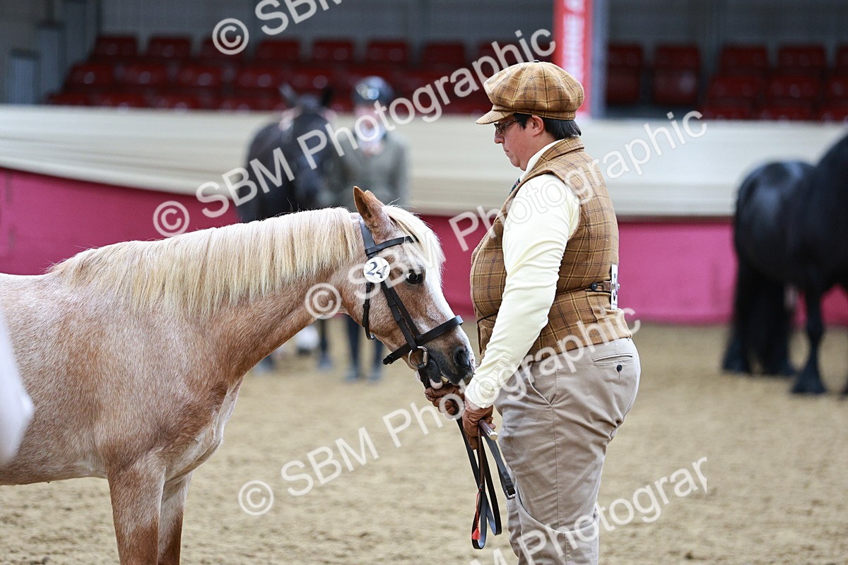 SBM_00954 - Class 2A - Area IH Veteran