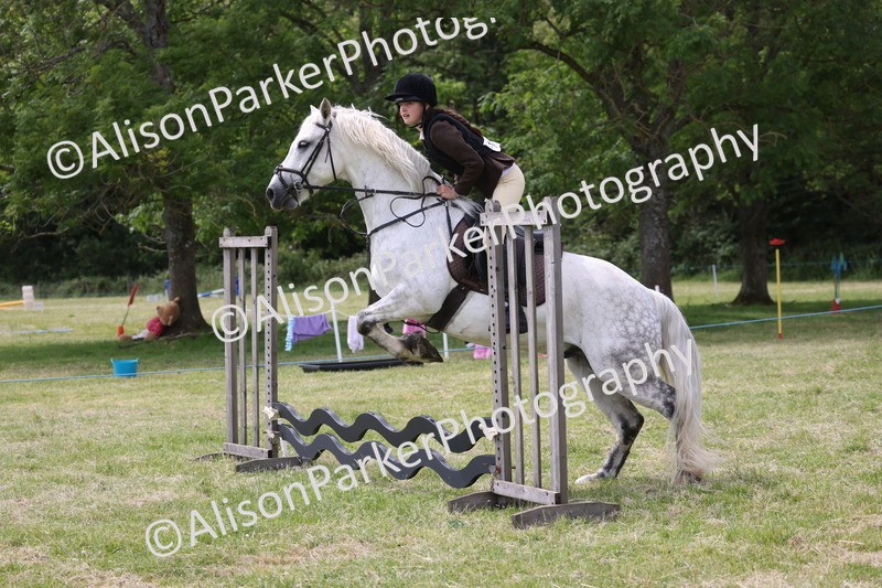 20260614-4054 - Class 24 - Mini and Major Pairs Jumping