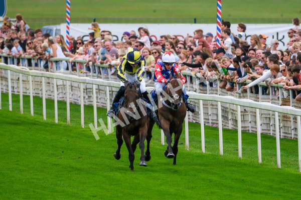 080925-Pony Racing-Shes A Corker-7076 - Pony Racing 1.45pm Dragon (TV and Film) Studios Pony Race 148cm & Under