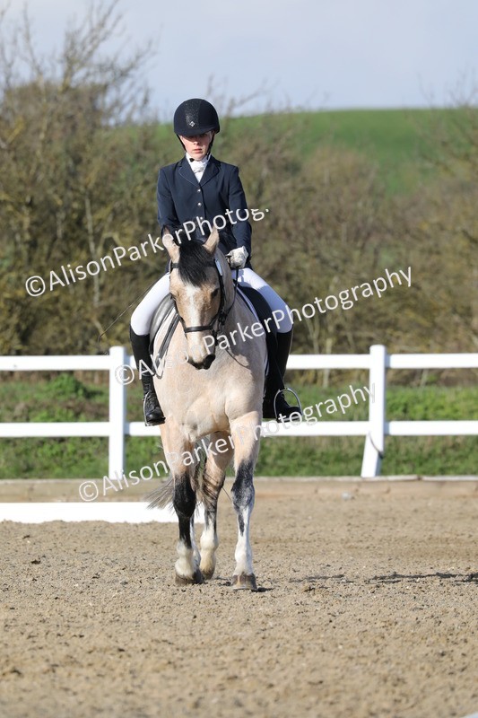 20260314-5833 - DR 7 - Elementary 1