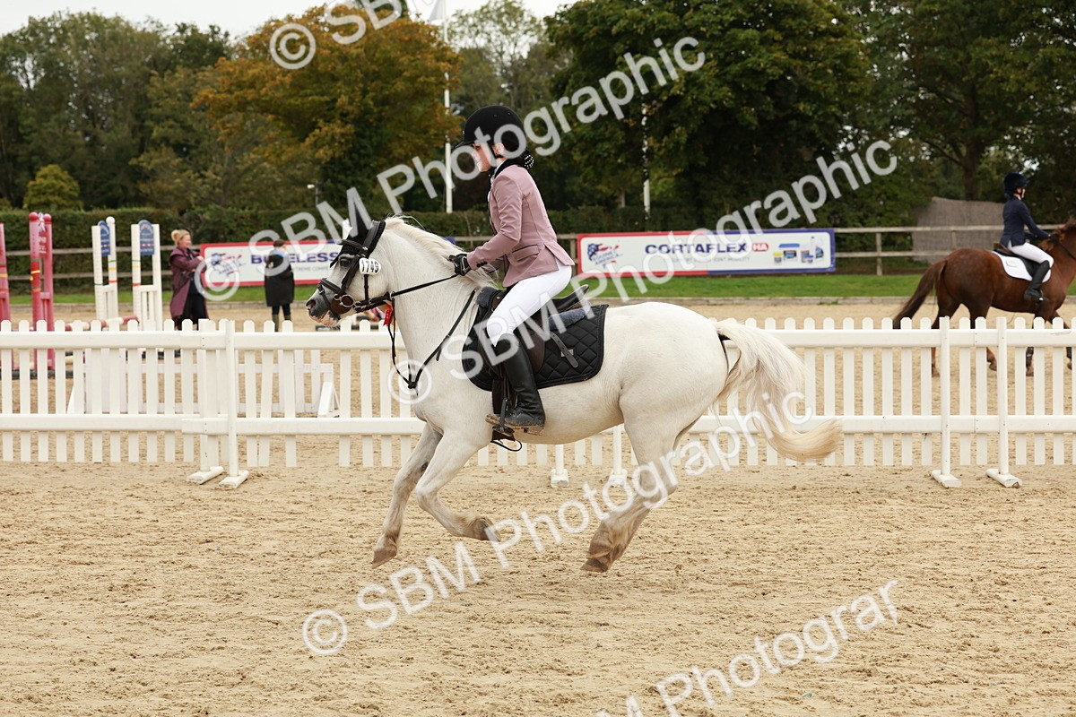 SBM_65369 - Supreme Championship 50cm & 55cm