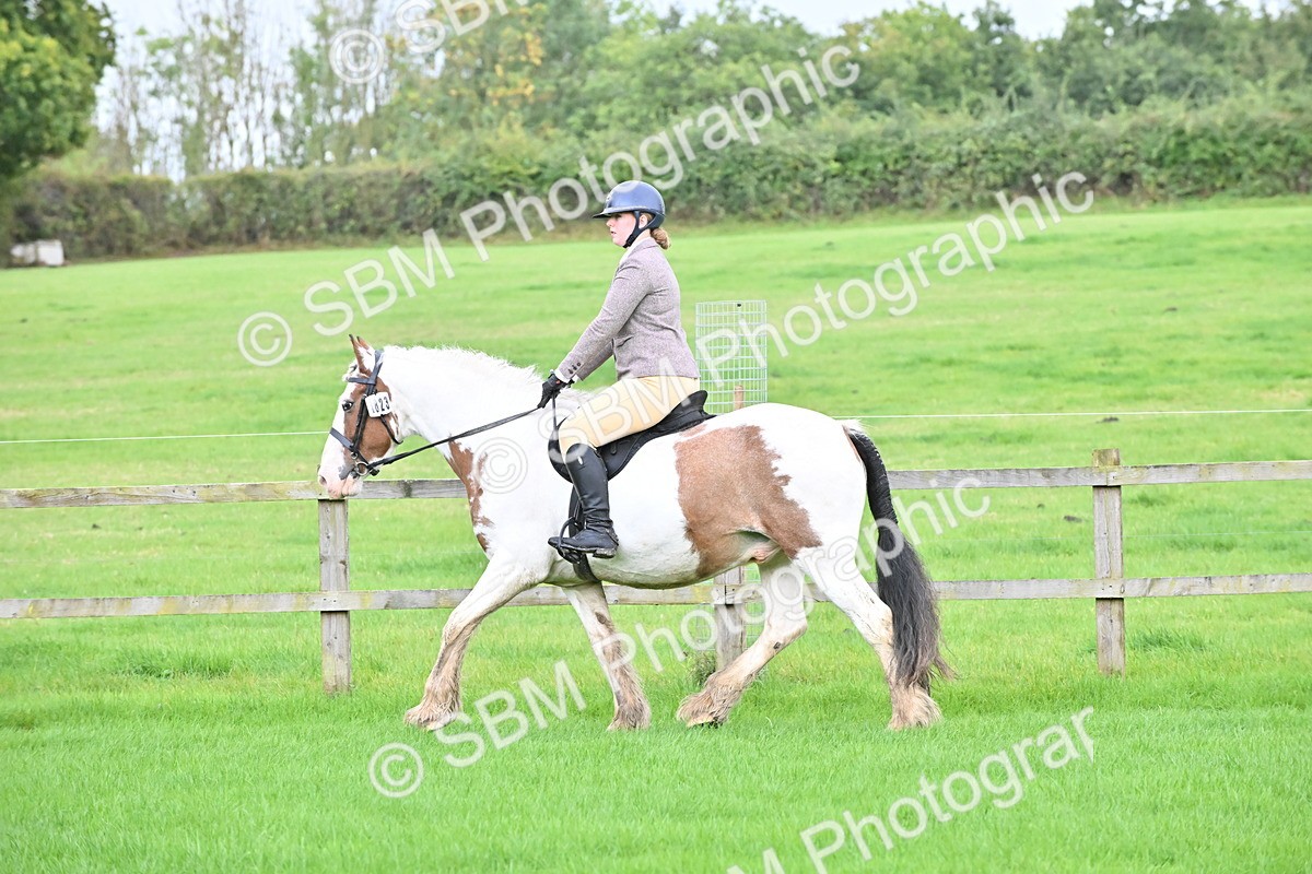 SBM_42885 - S12 - Family Horse & Pony