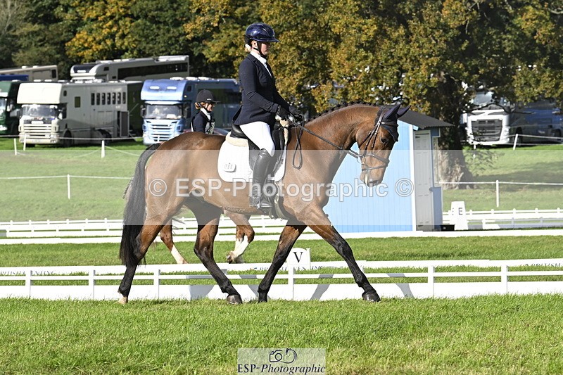 251023A-150744-04512 - E-386-Zara.Head