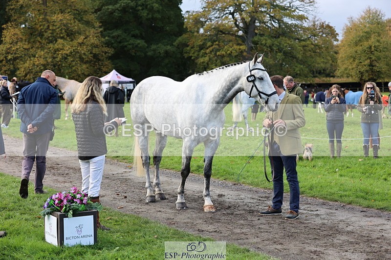 251026A-102116-22914 - E-389-Will.van.Ufford