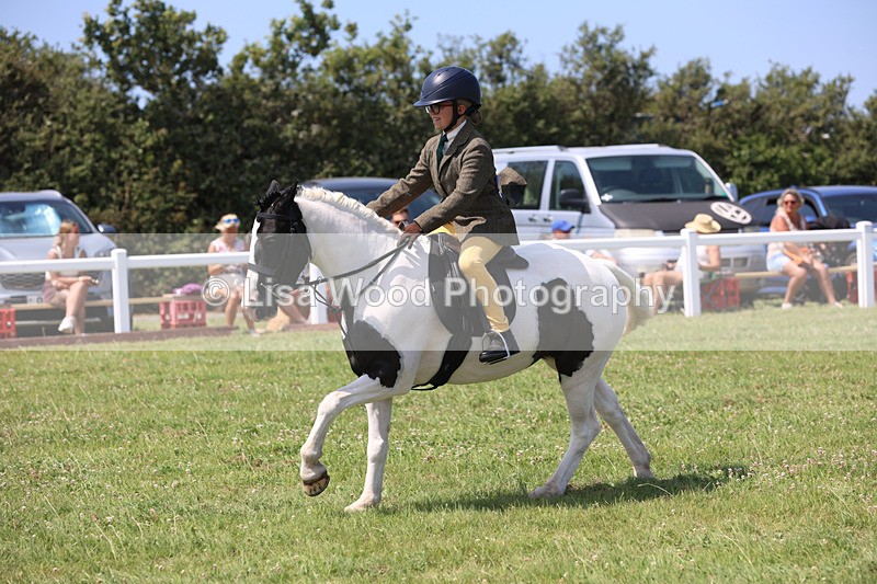 JPP_3085 - Class 22: Working Hunter 70cm