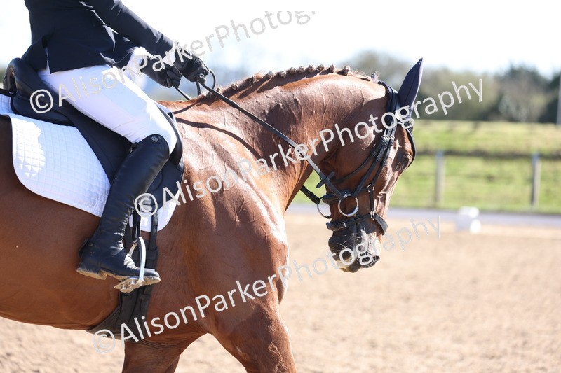 20260318-0642 - Class 6 - Novice 3