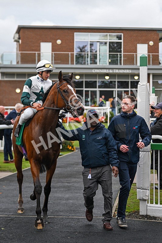 150925-Race 4-Hockney-2796 - Race 4