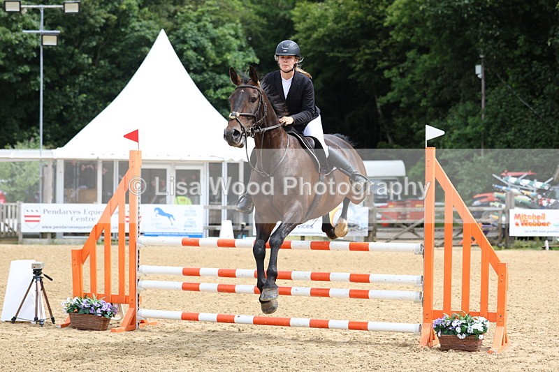 3E7A5960 - Class 4: Senior British Novice/90cm open