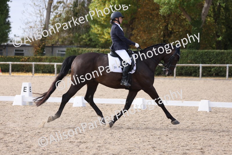 20250820-1576 - Class 21 - Advanced Medium 5