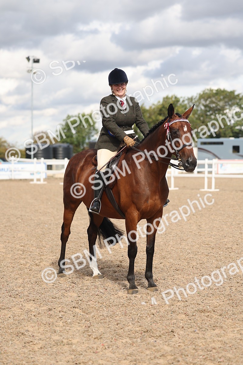 SBM_13208 - Class 306 - Ridden Foreign Breds - Part Bred