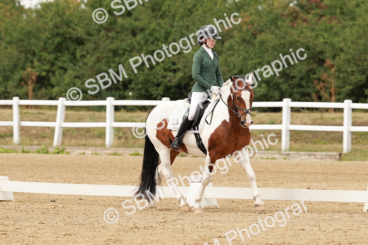 SBM_001964 - Class 8 - Elementary 6