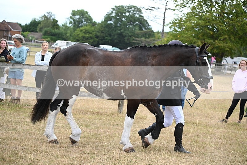 WJ6_8081 - Class 10 Coloured in Hand