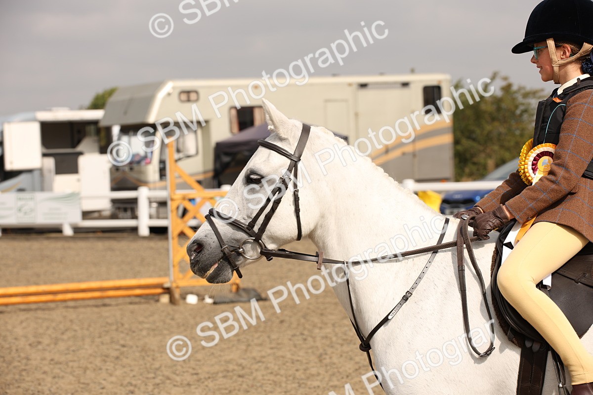 SBM_11710 - Class 404b Junior Working Veteran- 40cm(20+)