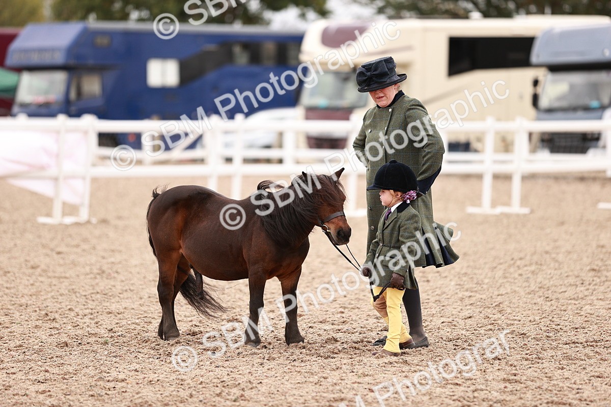 SBM_18595 - Class 421 - Childs Best Friend - Jnr