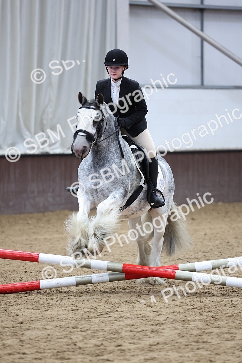 SBM_006911 - Class 1 - 40cm showjumping