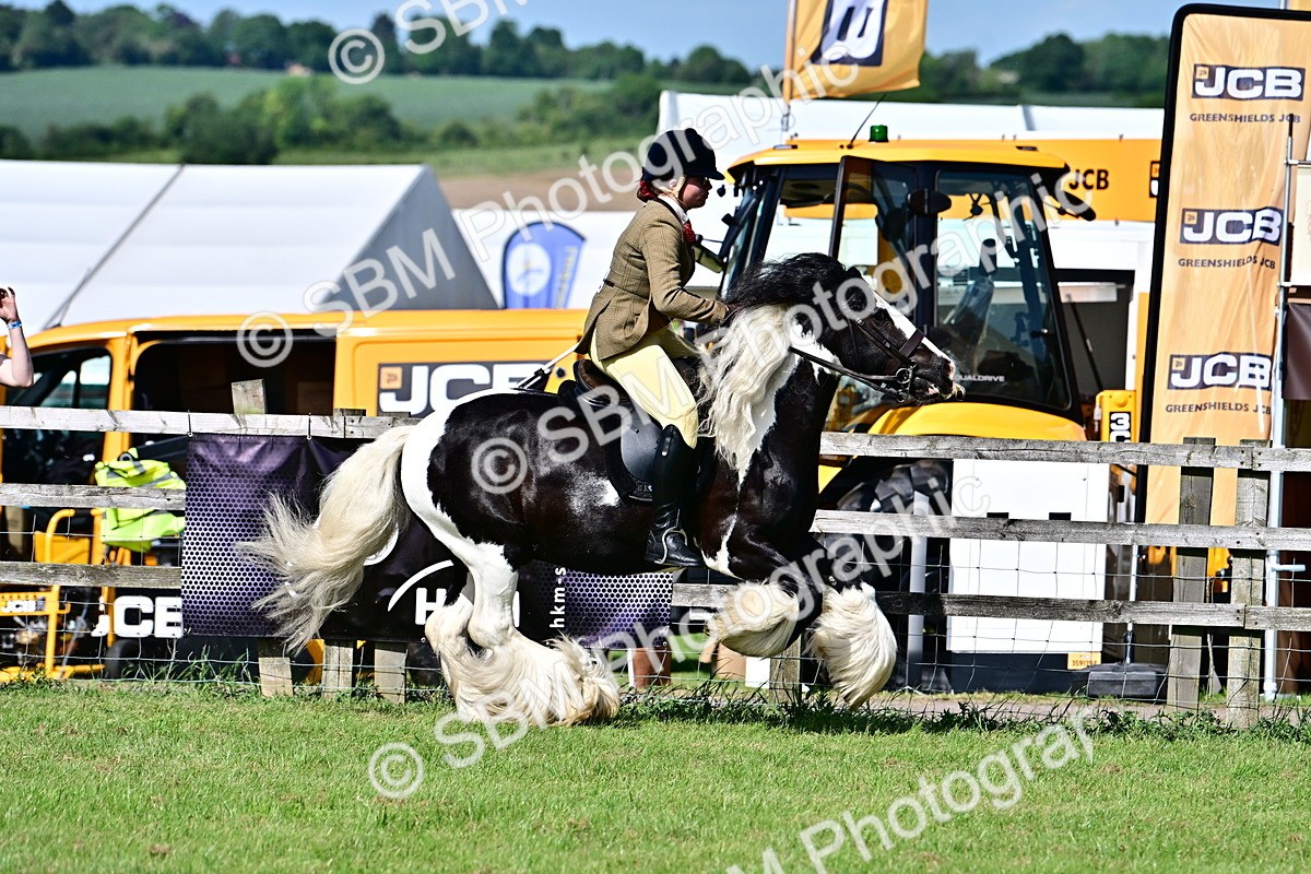 SBM_09375 - Class 63-65 - Traditional Gypsy Cobs In Hand & Ridden
