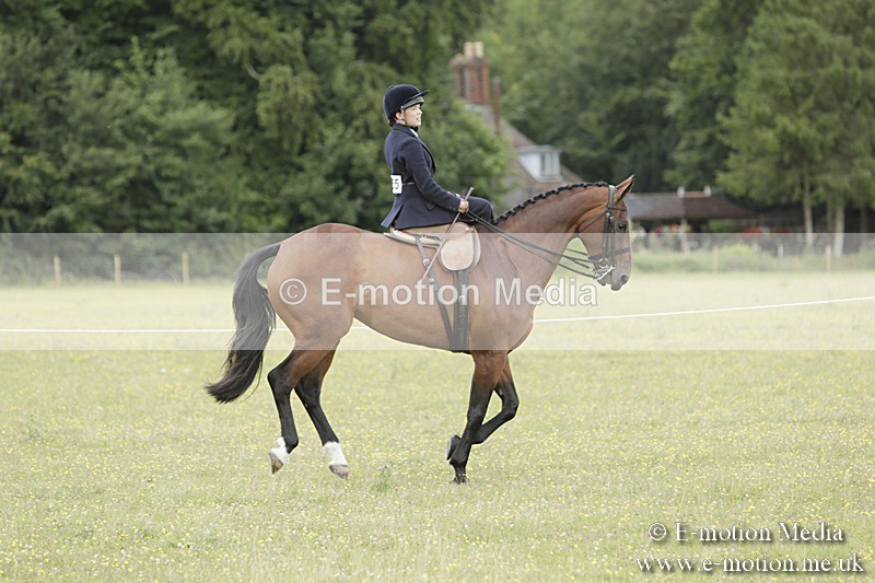 BVR160717-2358 - Side Saddle Classes 16/07/17