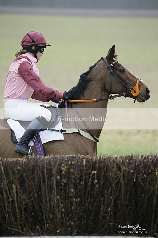 PtP 200222 677 - Countryside Alliance PtP Badbury Rings 20/02/22