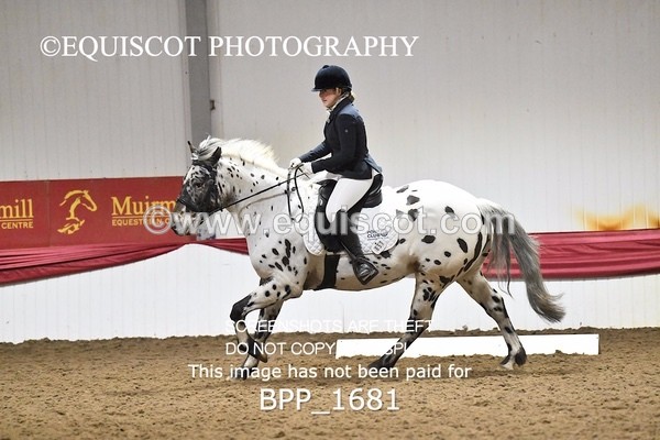 BPP_1681 - PC NOVICE DRESSAGE