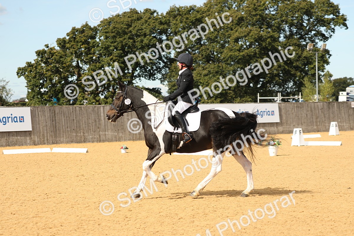 SBM_22212 - D17 - Grand Tour Championship - Novice 27
