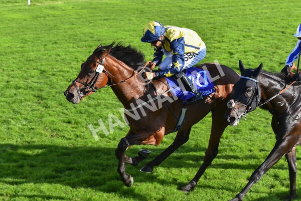 yr08102021r4-32 - Race 4 3.50pm Casumo Dare To be Different Handicap