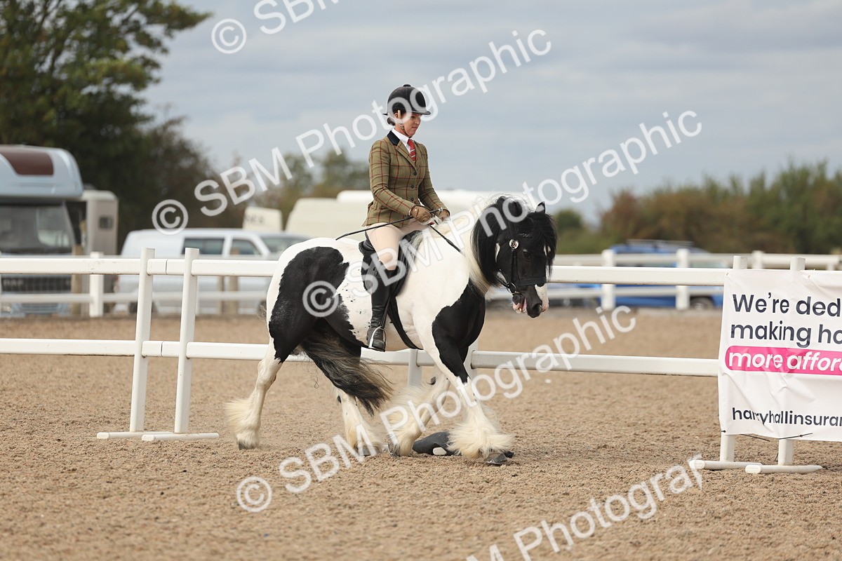 SBM_17991 - Class 314 - Family Horse Pony