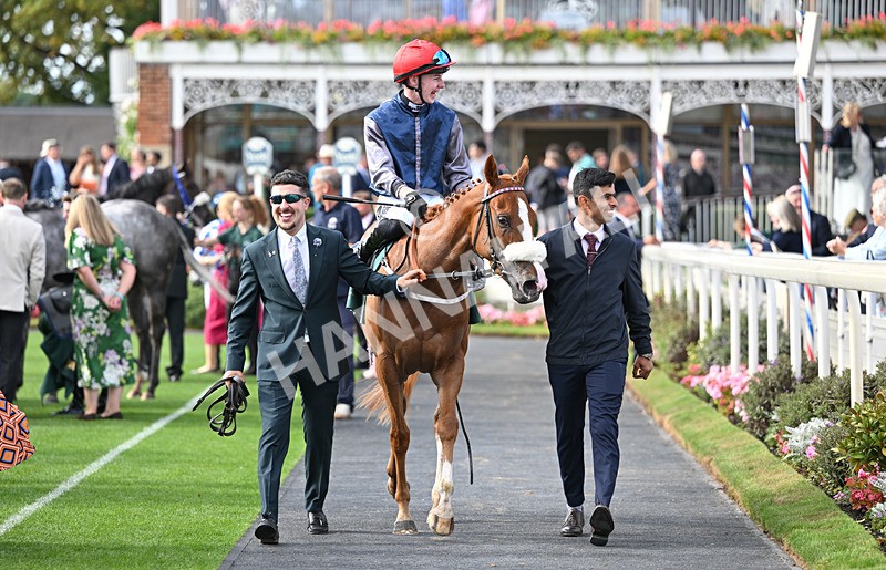 190826-233 Miss Yechance - Race 6 16.45pm Irish Thoroughbred Marketing Handicap