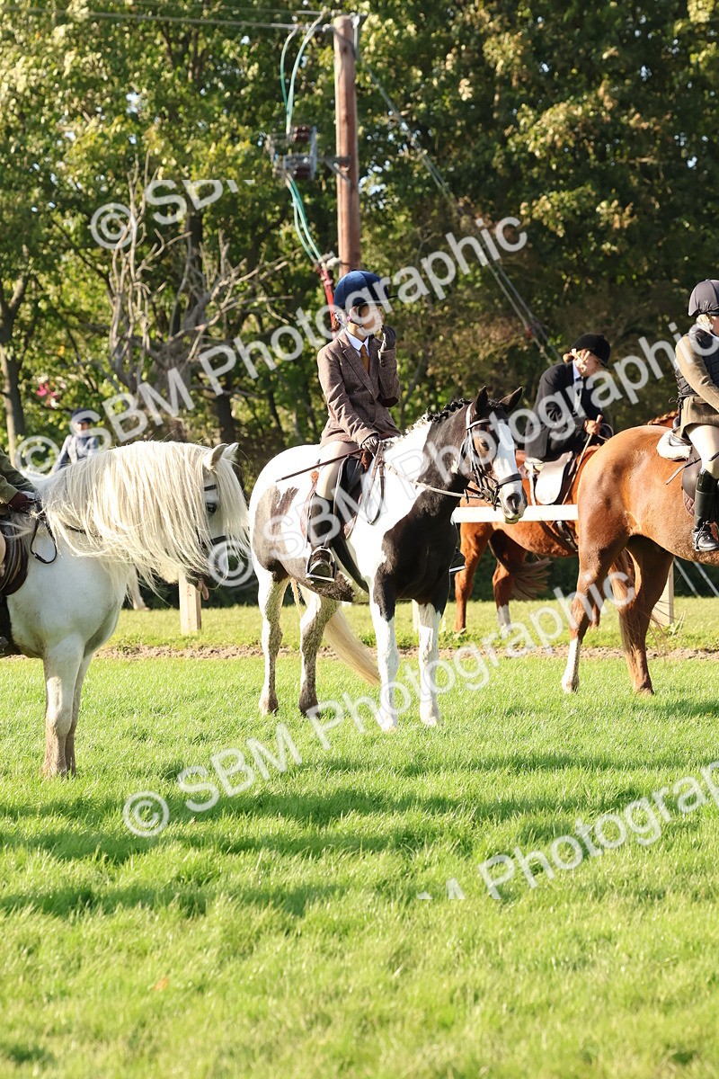SBM_52620 - S13 - Pony Club Pony
