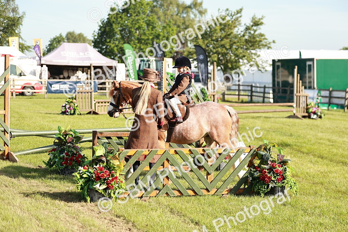 SBM_11197 - Class 106-107 - BSPS LIHS Working Sports Pony