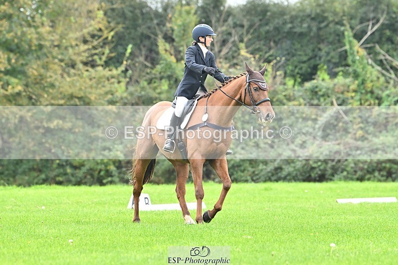 241024-100826-02100 - 308-Rachel.Lawson-RED.STAG