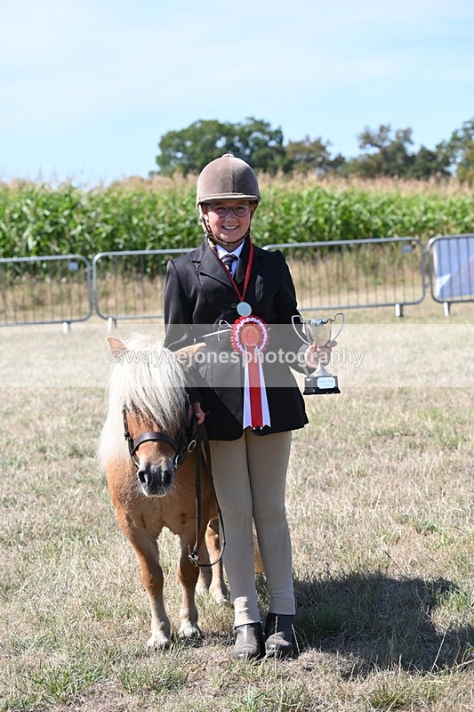 WJ6_8762 - Class 37b Best Loan Pony In-hand