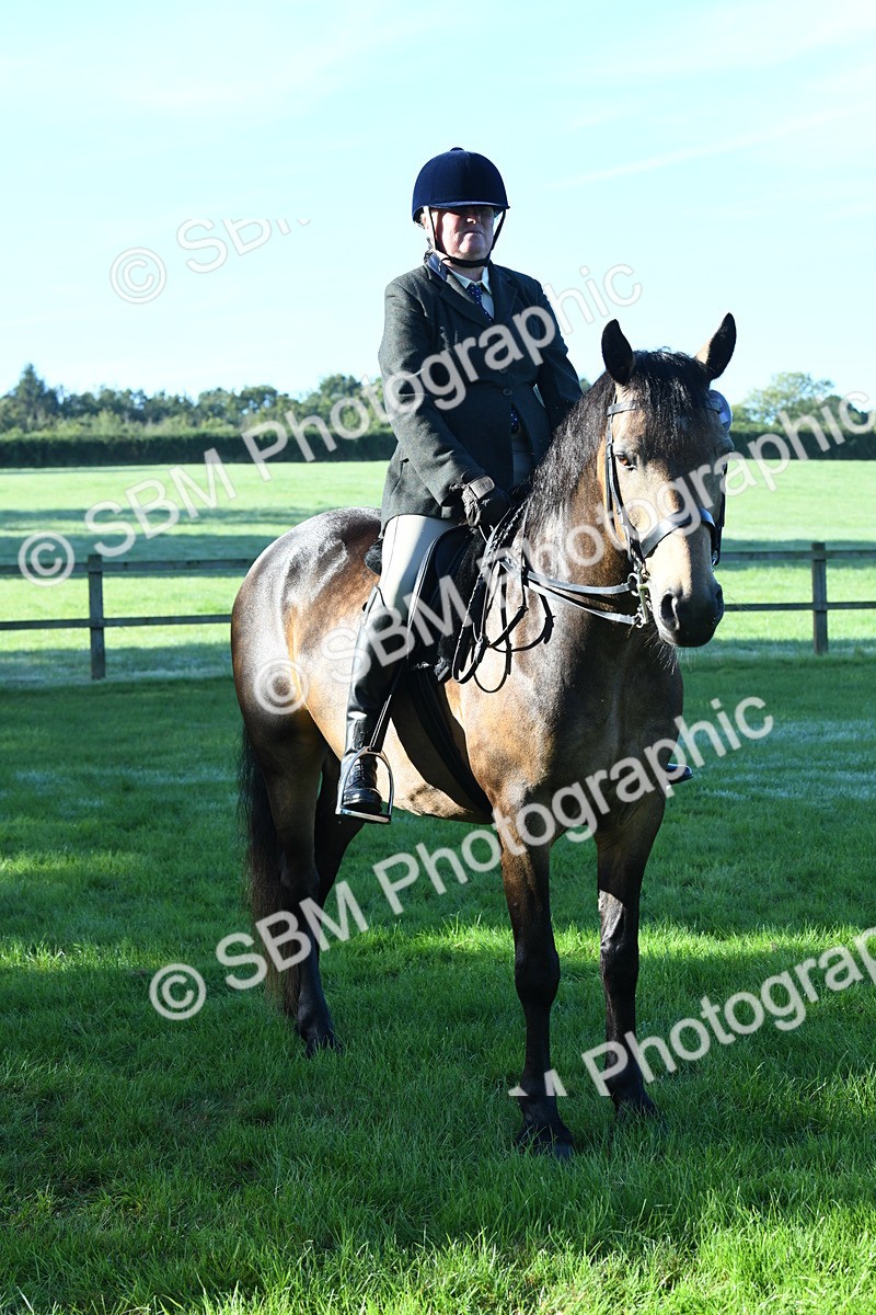 SBM_34055 - S16 - Condition & Turnout - Ridden