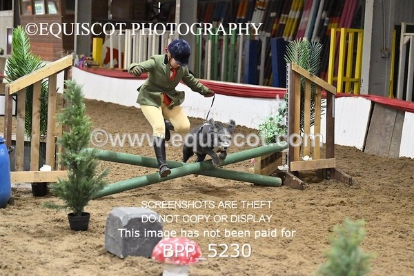 BPP_5230 - CLASS 5 HORSE AND HOUND