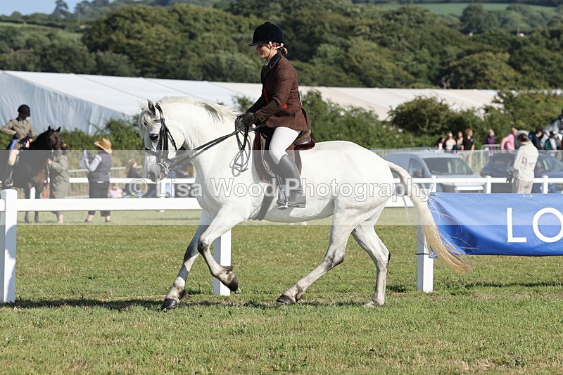 JPP_3061 - Class 20: Working Hunter 70cm