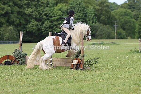 IMG_2458 - Working Hunter