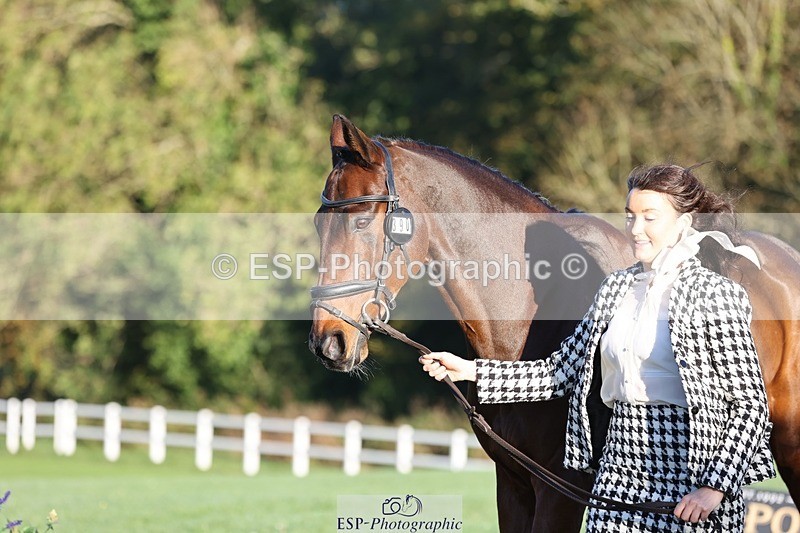 241027-083423-14670 - 390-Pippa.Howell-Phippard-NO.LIMIT.II