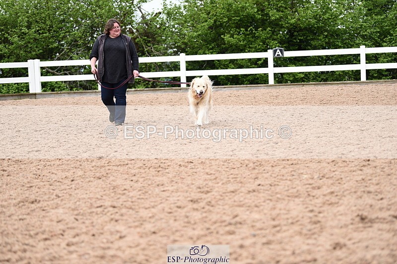 240518A-120648-01089 - Cls 3 Handsomest Dog