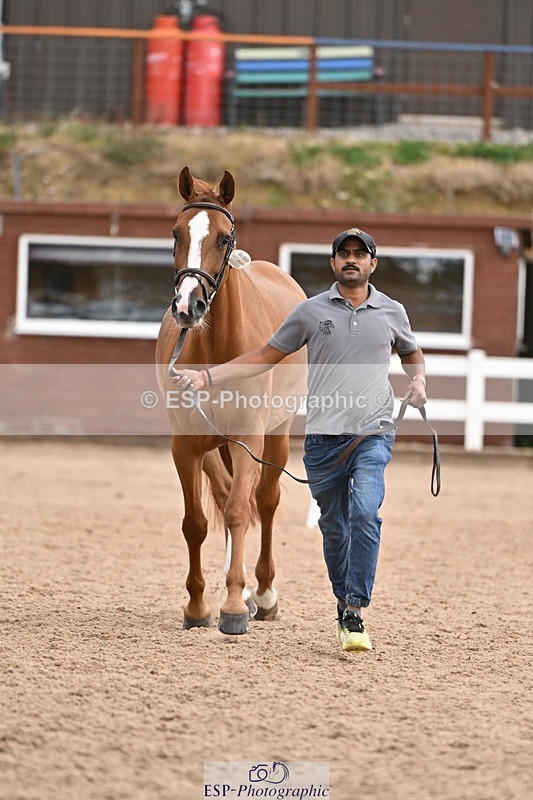 250716-145642-01534 - Trot Up 2.30 to 3.30