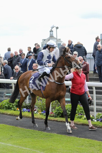 yr12052022r2-15 - Race 2 2.25pm Al Basti Equiworld Dubai Middleton Fillies' Stakes