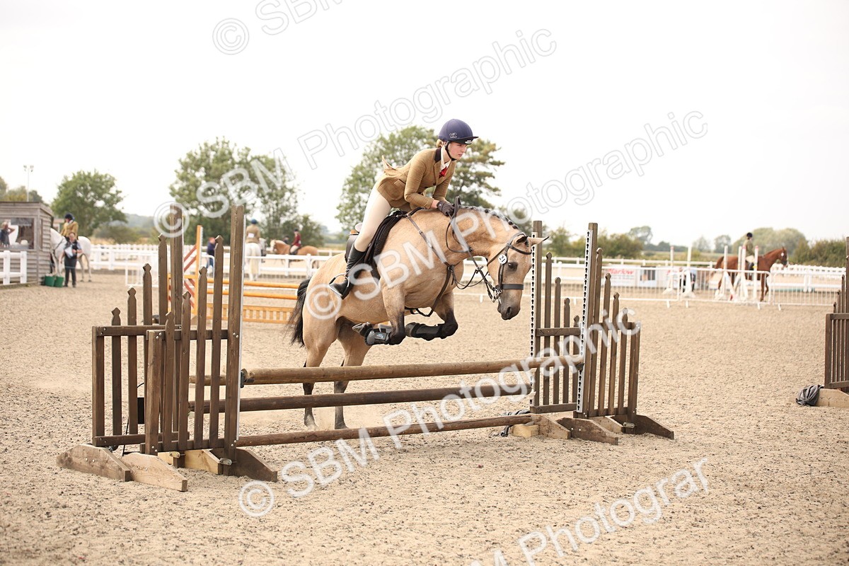 SBM_17148 - Class 409b - Working Veteran 80cm (20+)