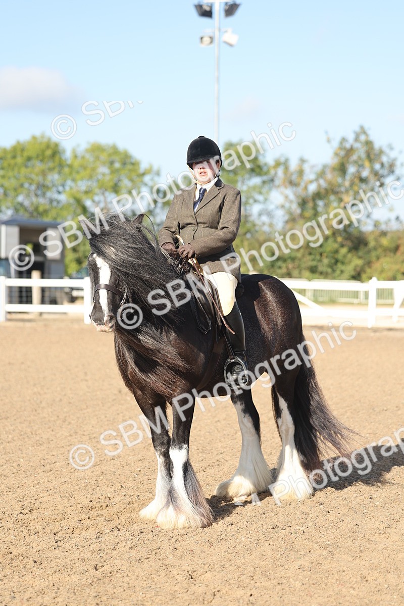 SBM_22218 - Class 802 - Ridden Groom Helpers Class