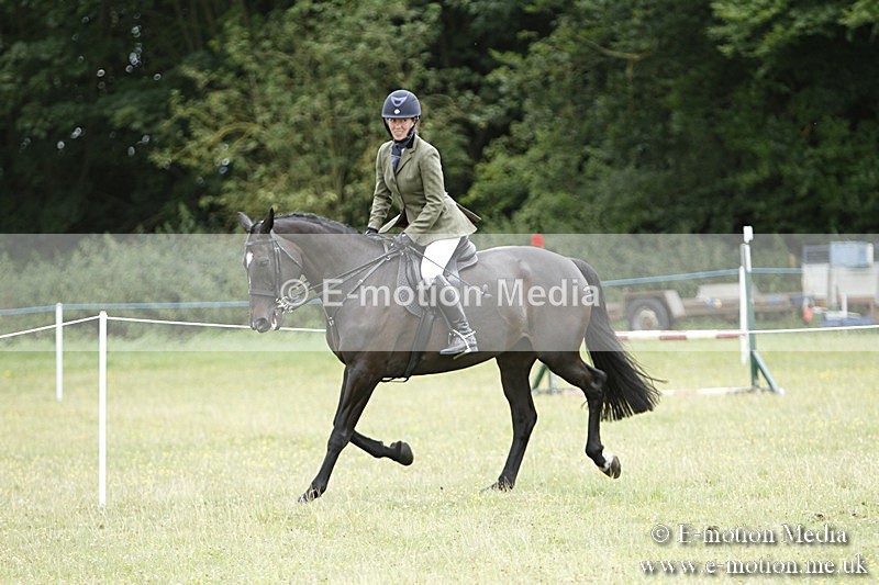 BVR160717-2197 - Ring 3 BVRC Show 16/07/17