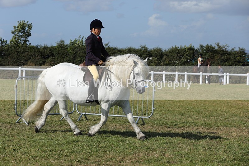 1X9A6007 - Class 42: NPS Dales, Fell, Highland